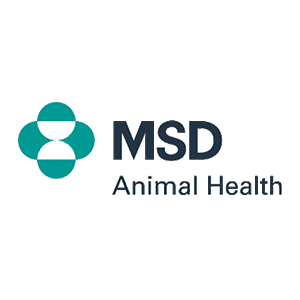 logo-MSD.png