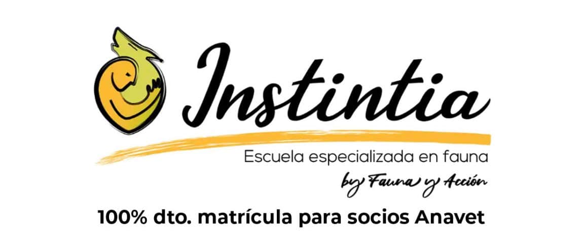 instintia-anavet.jpg