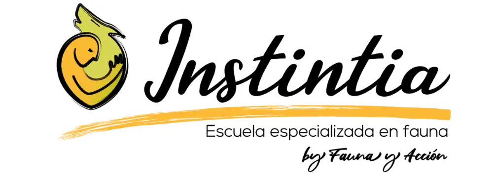 instintia-logo.webp