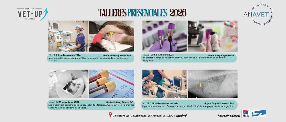 TALLERES-PRESENCIALES-VET-UP-2026.jpg